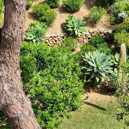Elena Flat Lovely Paradise Above The Sea Sitio de Calahonda Buitenkant foto
