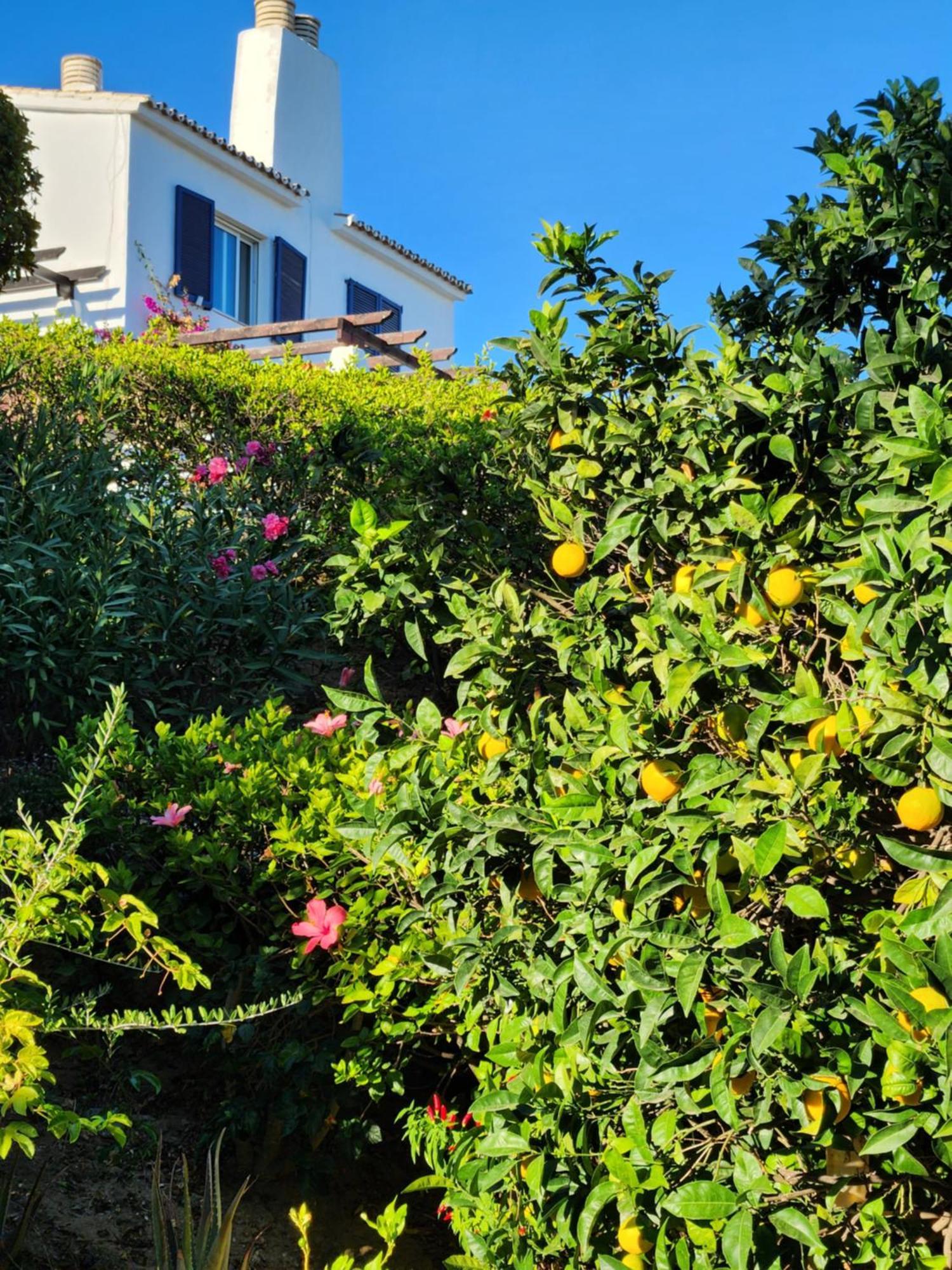 Elena Flat Lovely Paradise Above The Sea Sitio de Calahonda Buitenkant foto