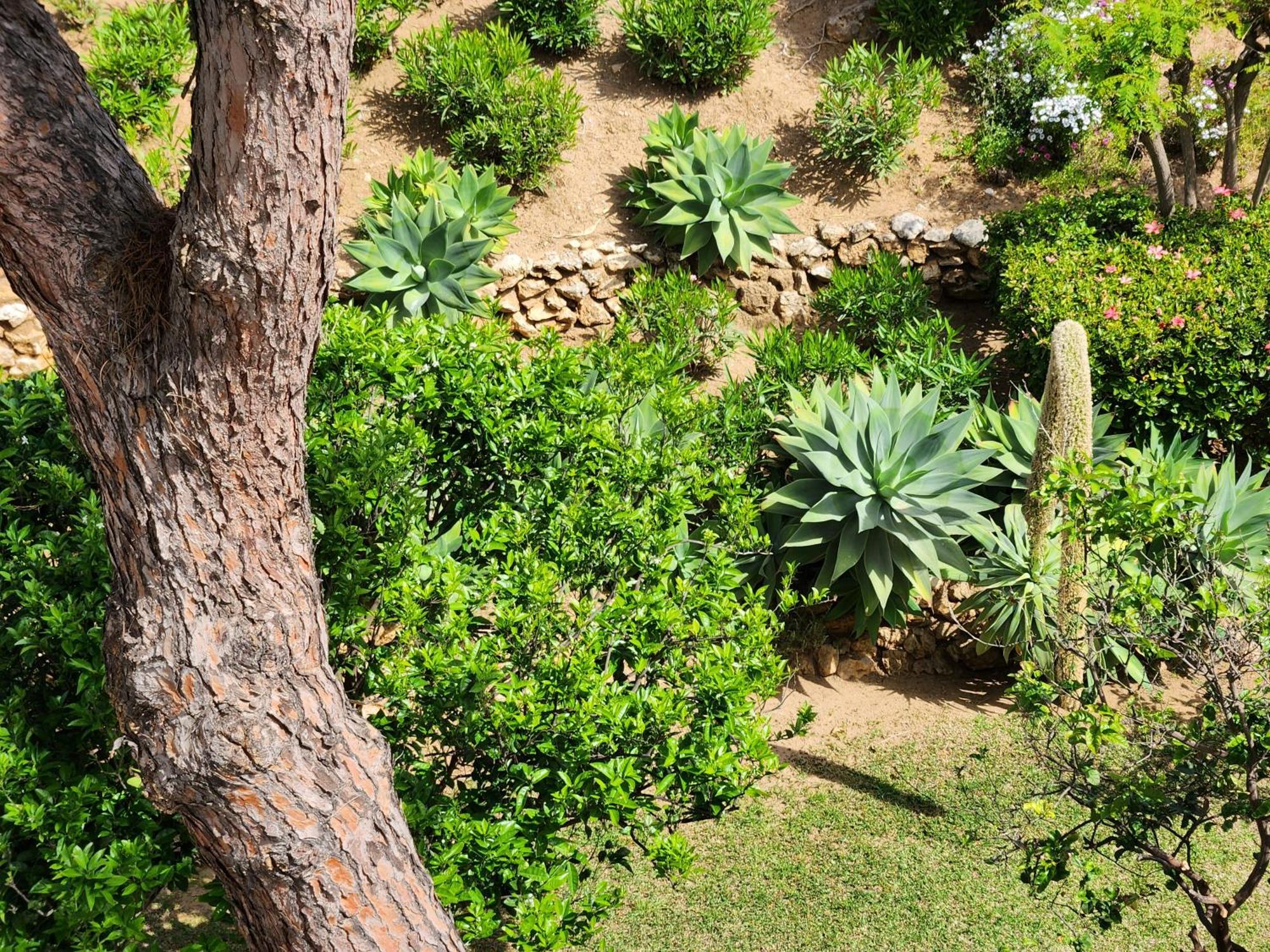 Elena Flat Lovely Paradise Above The Sea Sitio de Calahonda Buitenkant foto